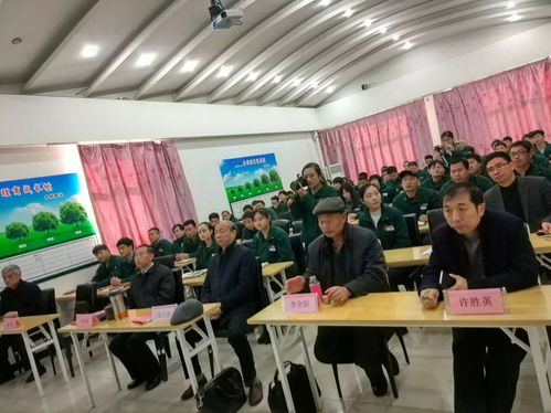 追求卓越 盛森專業培訓班引領終身學習新浪潮
